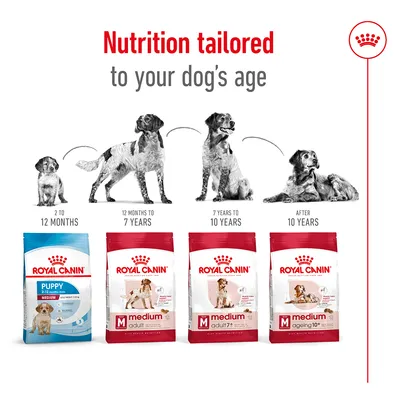 Feeding guide showing Royal Canin food for different life stages: puppy 2-12 months, adult 12 months-7 years, adult 7-10 years, and ageing after 10 years.