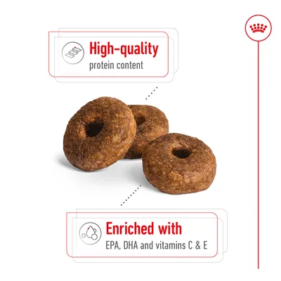 Kibble shown with high-quality protein content, enriched with EPA, DHA and vitamins C and E as highlighted in the image.