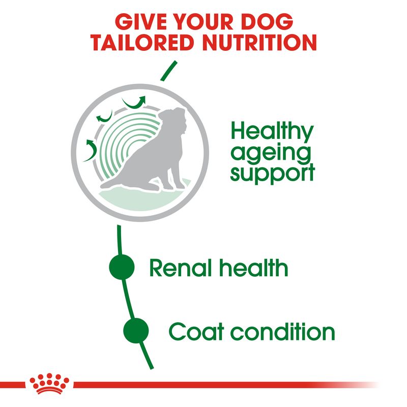 Текст на английском: GIVE YOUR DOG TAILORED NUTRITION, Healthy ageing support, Renal health, Coat condition. Силуэт собаки и графические элементы.
