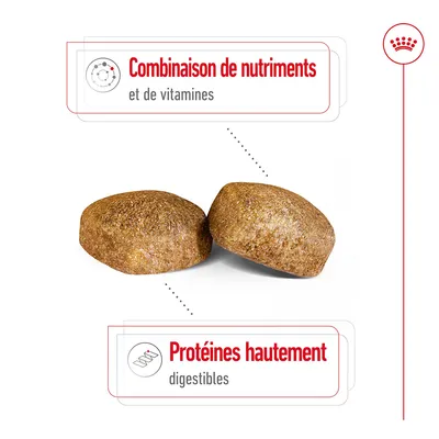 Deux croquettes avec texte : Combinaison de nutriments et de vitamines, Protéines hautement digestibles.