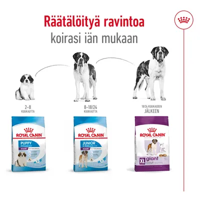 Royal Canin -koiranruokapakkaukset: Puppy 2–8 kuukautta, Junior Giant 8–18/24 kuukautta, XL Giant Adult 18/24 kuukauden jälkeen. Teksti: Räätälöityä ravintoa koirasi iän mukaan.