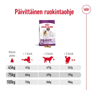 Päivittäinen ruokintaohje Royal Canin Giant Adult XL: 45 kg koira 412–542 g, 75 kg 604–795 g, 100 kg 750–986 g, määrä riippuu liikunnan määrästä (<1 h, <2 h, >3 h/vrk).
