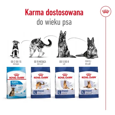 Karma Royal Canin dla psów maxi: Puppy 2–15 miesięcy, Adult do 5 lat, Adult 5+ od 5 do 8 lat, Ageing 8+ powyżej 8 lat. Ilustracja etapów życia psa i opakowań karmy.