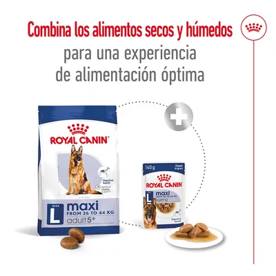 Royal Canin maxi adult 5+ seco y húmedo, para perros de 26 a 44 kg. Texto: Combina los alimentos secos y húmedos para una experiencia de alimentación óptima. Royal Canin maxi adult 5+ seco y húmedo, para perros de 26 a 44 kg. Texto: Combina los alimentos secos y húmedos para una experiencia de alimentación óptima.