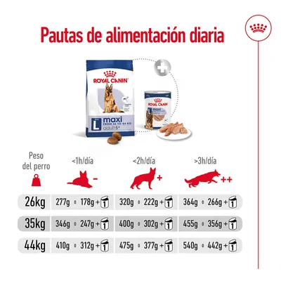 Tabla de pautas de alimentación diaria Royal Canin Maxi Adult para perros de 26, 35 y 44 kg según actividad: cantidades en gramos de pienso o lata por nivel de ejercicio. Tabla de pautas de alimentación diaria Royal Canin Maxi Adult para perros de 26, 35 y 44 kg según actividad: cantidades en gramos de pienso o lata por nivel de ejercicio.