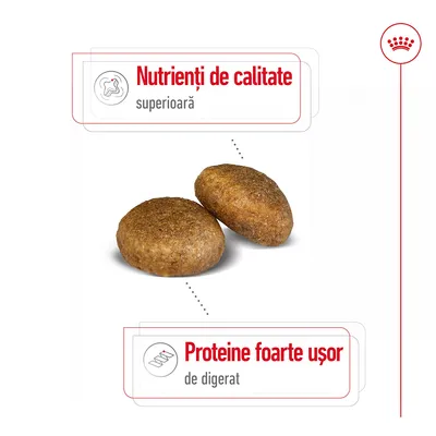 Două crochete, cu text: 'Nutrienți de calitate superioară' și 'Proteine foarte ușor de digerat'.