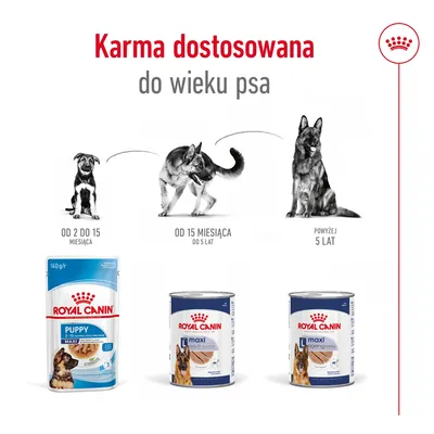Karma Royal Canin Puppy 2–15 miesięcy, Maxi Adult do 5 lat, Maxi Ageing powyżej 5 lat; ilustracja psów w różnych etapach życia. Tekst: Karma dostosowana do wieku psa.