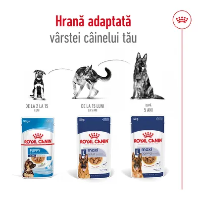 Royal Canin Puppy 2–15 luni, Maxi Adult 15 luni–5 ani, Maxi Ageing peste 5 ani. Hrană adaptată vârstei câinelui tău, plicuri de 140 g fiecare tip.