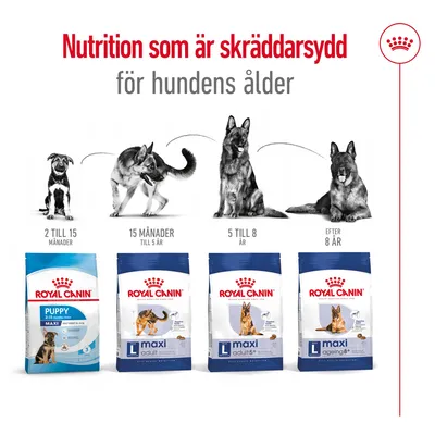 Royal Canin torrfoder för hundar i olika åldrar: Puppy 2–15 månader, Maxi Adult 15 månader–5 år, Maxi Adult 5+ 5–8 år, Maxi Ageing 8+ efter 8 år. Text: Nutrition som är skräddarsydd för hundens ålder.