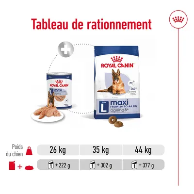 Tableau de rationnement Royal Canin maxi ageing 8+ : pour chiens de 26 kg 1 boîte + 222 g, 35 kg 1 boîte + 302 g, 44 kg 1 boîte + 377 g. Visuels croquettes et pâtée inclus.