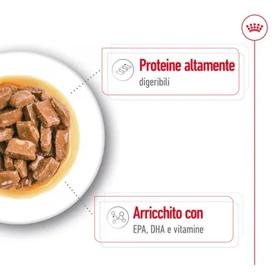 Ciotola con bocconcini in salsa. Testo visibile: 'Proteine altamente digeribili', 'Arricchito con EPA, DHA e vitamine'.