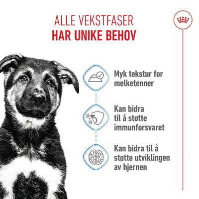 Royal Canin Maxi Puppy i saus Royal Canin Maxi Puppy i saus