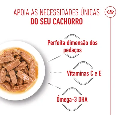Royal Canin Maxi Puppy em molho