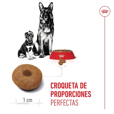 Royal Canin Maxi Starter Mother & Babydog Royal Canin Maxi Starter Mother & Babydog