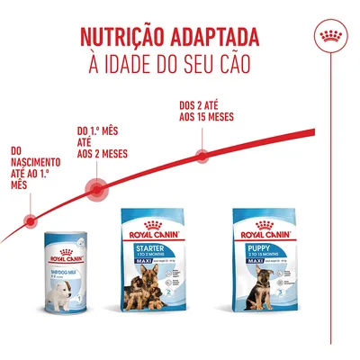 Royal Canin Maxi Starter Mother & Babydog