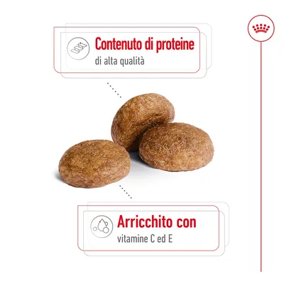 Crocchette con testo: Contenuto di proteine di alta qualità. Arricchito con vitamine C ed E.