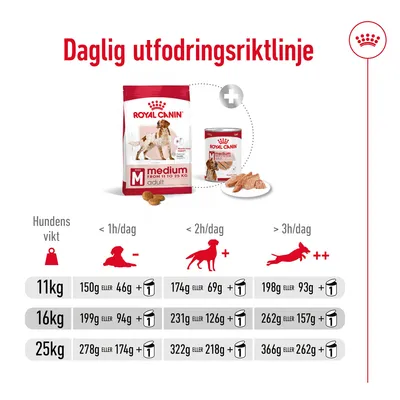 Daglig utfodringsriktlinje för Royal Canin Medium Adult: tabell med mängder för 11, 16 och 25 kg hundar beroende på aktivitetsnivå, både torr- och våtfoder visas.