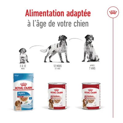 Alimentation adaptée à l’âge du chien : Royal Canin Puppy 2 à 12 mois, Medium Adult 12 mois à 7 ans, Medium Ageing après 7 ans. Trois chiens illustrent chaque étape.