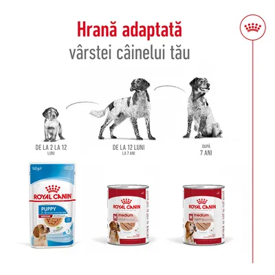 Hrana adaptată vârstei câinelui tău. Royal Canin Puppy 2–12 luni, Medium Adult 12 luni–7 ani, Medium Ageing după 7 ani. Imagine cu trei produse și etape de vârstă pentru câini.