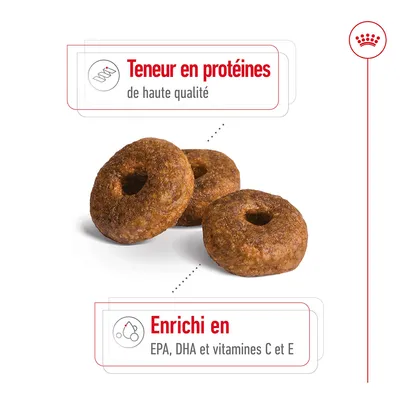 Croquettes en forme d’anneau avec texte : Teneur en protéines de haute qualité. Enrichi en EPA, DHA et vitamines C et E.