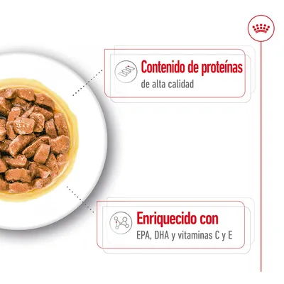 Comida húmeda en plato. Texto visible: Contenido de proteínas de alta calidad. Enriquecido con EPA, DHA y vitaminas C y E.