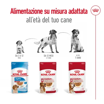 Consigli alimentari Royal Canin per cani: Puppy da 2 a 12 mesi, Medium Adult da 12 mesi a 7 anni, Medium Ageing oltre 7 anni. Immagini di confezioni e cani corrispondenti.