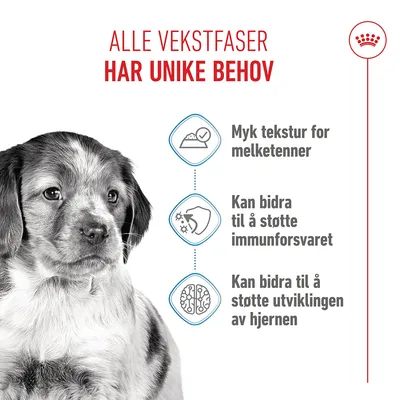 Royal Canin Medium Puppy i saus Royal Canin Medium Puppy i saus