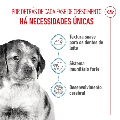 Royal Canin Medium Puppy em molho