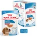 Royal Canin Medium Puppy v omáčce