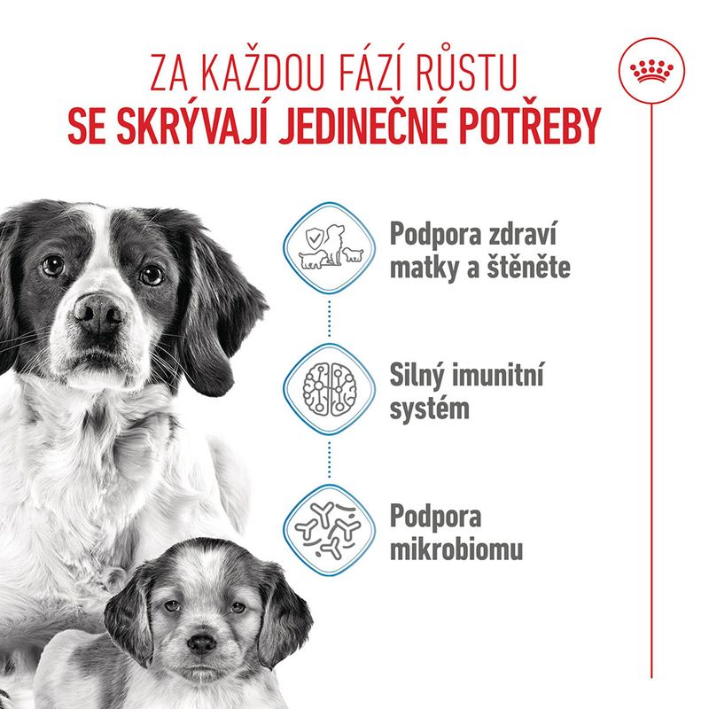 Royal Canin Medium Starter Mother & Babydog