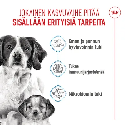 Royal Canin Medium Starter Mother & Babydog Royal Canin Medium Starter Mother & Babydog