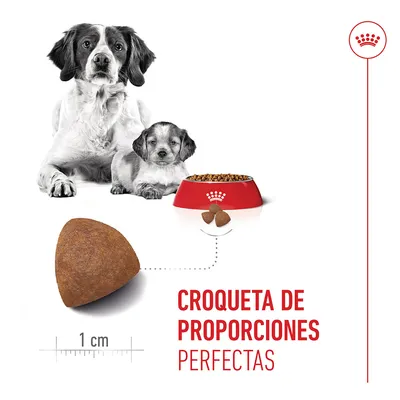 Royal Canin Medium Starter Mother & Babydog