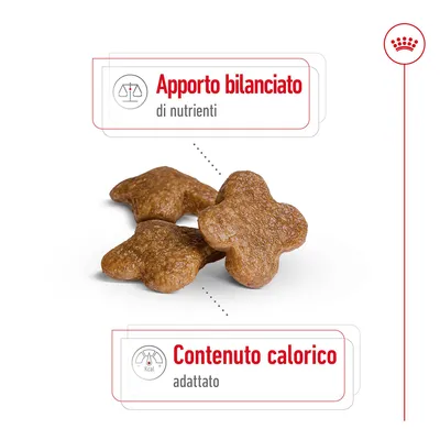 Apporto bilanciato di nutrienti. Contenuto calorico adattato.