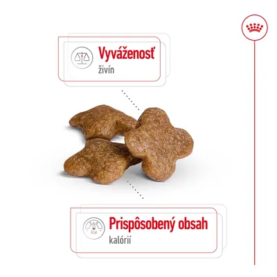 Granule v tvare kvetu, text: Vyváženosť živín, Prispôsobený obsah kalórií.