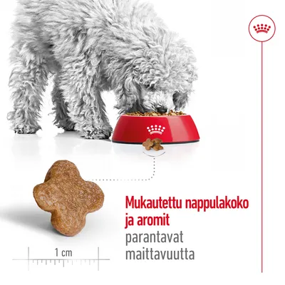 Pieni koira syö punaisesta kupista, esillä nappulan muoto ja koko (1 cm). Teksti: Mukautettu nappulakoko ja aromit parantavat maittavuutta.