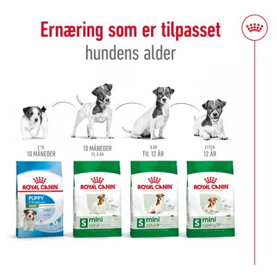 Royal Canin Mini Adult 8+