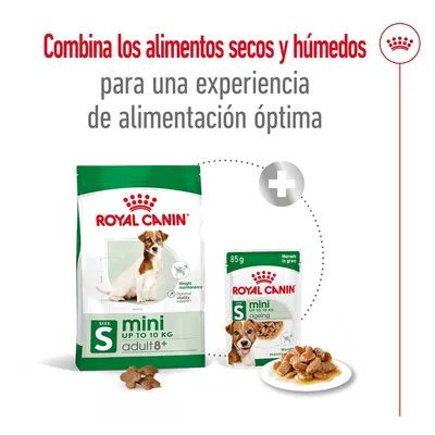 ROYAL CANIN mini adult 8+ hasta 10 kg, pienso seco y comida húmeda de 85 g. Texto: Combina los alimentos secos y húmedos para una experiencia de alimentación óptima.