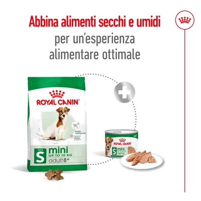 Royal Canin mini adult 8+ fino a 10 kg, alimento secco e umido per cani, con testo: Abbina alimenti secchi e umidi per un’esperienza alimentare ottimale.