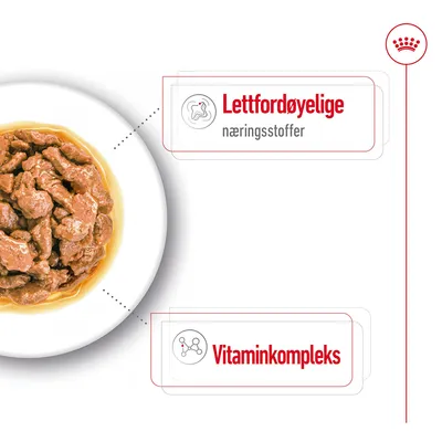 Royal Canin Mini Adult i saus