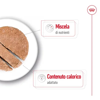 Miscela di nutrienti. Contenuto calorico adattato.