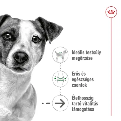 Ideális testsúly megőrzése, erős és egészséges csontok, élethosszig tartó vitalitás támogatása – látható szöveges kiemelések kutya kép mellett.