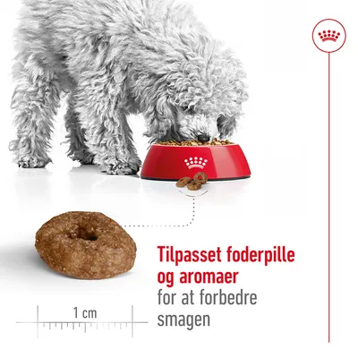 Hund spiser tørfoder fra rød skål med krone-symbol. Foderpille vist i nærbillede, diameter 1 cm. Tekst: Tilpasset foderpille og aromaer for at forbedre smagen.