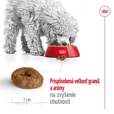 Pes pri miske s granulami Royal Canin, detail granuly veľkosti 1 cm. Text: Prispôsobená veľkosť granúl a arómy na zvýšenie chutnosti.