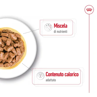 Cibo umido in salsa su piatto bianco con testo: Miscela di nutrienti, Contenuto calorico adattato.