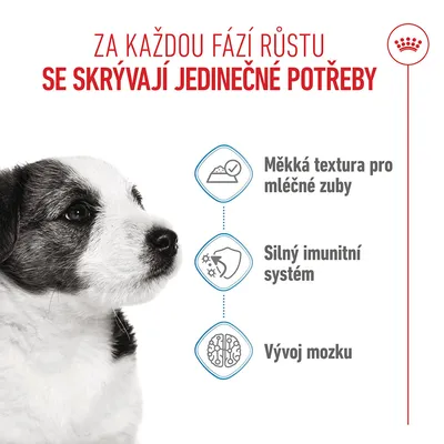 Grafika s textem: Měkká textura pro mléčné zuby, Silný imunitní systém, Vývoj mozku. Zobrazené štěně psa. Grafika s textem: Měkká textura pro mléčné zuby, Silný imunitní systém, Vývoj mozku. Zobrazené štěně psa.