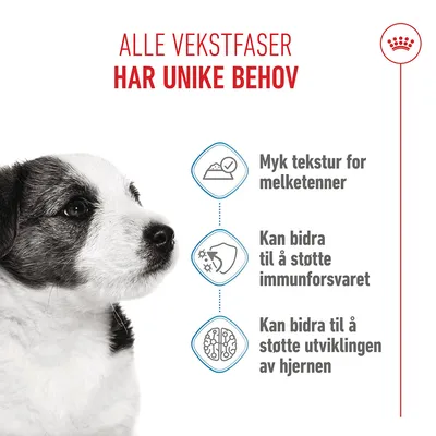 Royal Canin Mini Puppy i saus