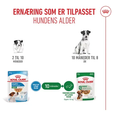 Royal Canin Mini Puppy i saus