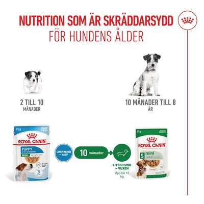 Royal Canin Mini Puppy i sås
