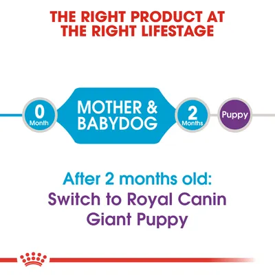 Teksti: THE RIGHT PRODUCT AT THE RIGHT LIFESTAGE. 0 Month MOTHER & BABYDOG, 2 Months Puppy. After 2 months old: Switch to Royal Canin Giant Puppy.