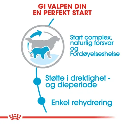 Royal Canin Giant Starter Mother & Babydog Royal Canin Giant Starter Mother & Babydog